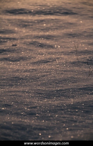 inspirational quotes