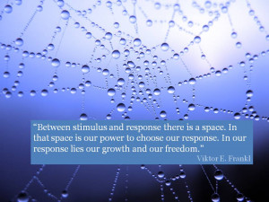 Viktor Frankl Between Stimulus and Response. Related Images