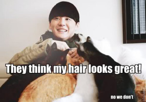 Related Pictures racist poems funny pictures