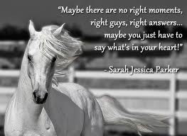 love my horse quotes