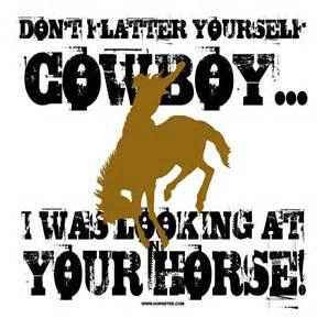 Don't flatter yourself cowboy...