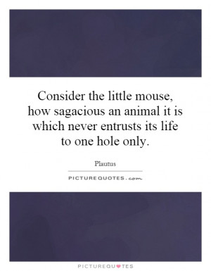 Consider the little mouse, how sagacious an animal it is which never ...