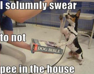 dog bible