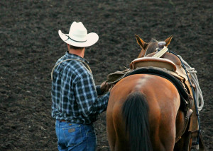 Cowboy And His Horse Quotes Up his horse and rope.