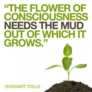 The flower of consciousness needs the mud out of which it grows.
