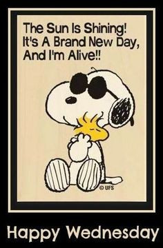 ... wednesday snoopy days of the week wednesday humpday humpday quotes