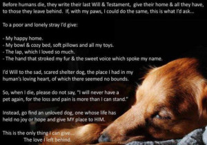 Fair Use Notice and Disclaimer