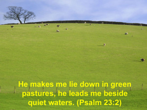 ... Down In Green Pastures, He Leads Me Beside Quiet Waters. ~ Bible Quote
