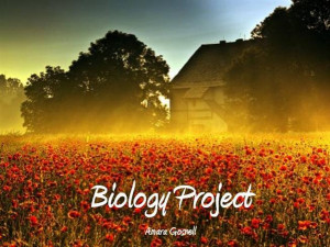 Biology Project Powerpoint
