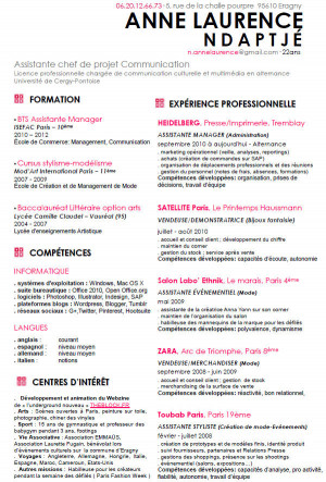 Chef Resume Great Picture