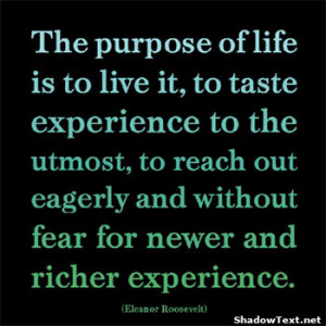 Life Experiences Quotes And Sayings