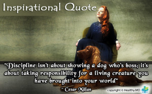 Quotes About Veterinarians
