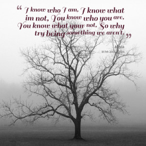 Quotes Picture: i know who i am, i know what im not, you know who you ...