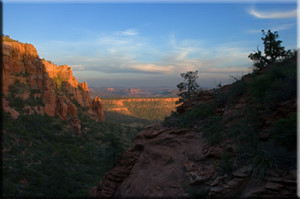 Answers to holt biology worksheets