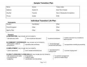 Sample Transition Plan picture