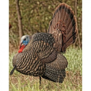 Zink Avian-X Strutter Turkey Decoy at CabelasZink Avianx, Avianx ...