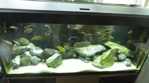 Black Sand Fish Tank