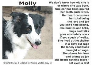 poems about dogs dog poetry 4 by patricia dog poetry 1 by patricia