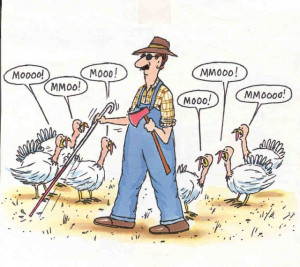 collection of the best Thanksgiving jokes to burst on Thanksgiving ...