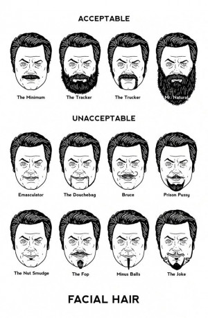 LoL - > Facial Hair Types