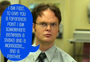 Dwight Schrute Funny Quotes Dwight schrute fact quotes
