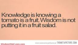 Knowledge Vs Wisdom Very Funny Cute Quote Picture