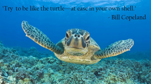 bill copeland be like a sea turtle - The best quotes, sayings ...