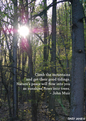 ... Peace Will Flow Into You As Sunshine Flows Into Trees ” - John Muir
