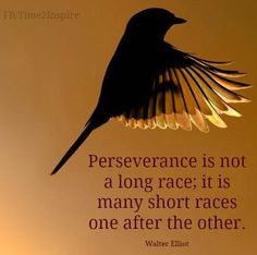 Perseverance quote via 