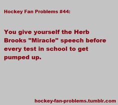 the Herb Brooks 