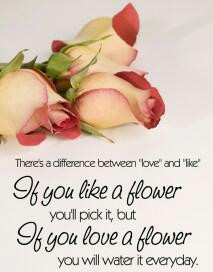 Love Quote photo amazing-love-quotes-there-is-a-difference-between ...