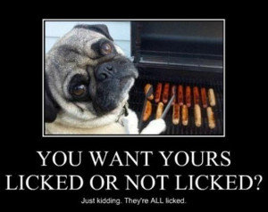 funny dogs, bbq hot dogs