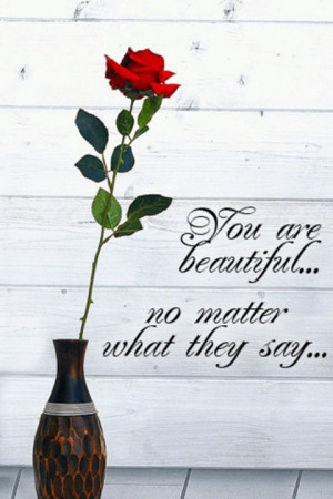 You are beautiful no matter what they say