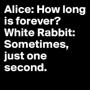 Sign in or Register Now to reply