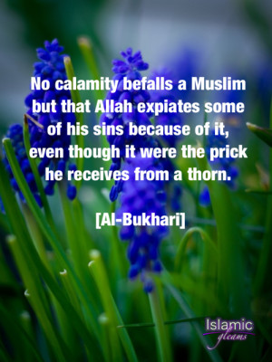 No calamity befalls a Muslim but that Allah expiates some of his sins