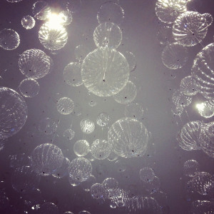 Love and Other Drugs Quotes