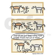 Carousel Equine Clinic Horse pics and quotes etc...