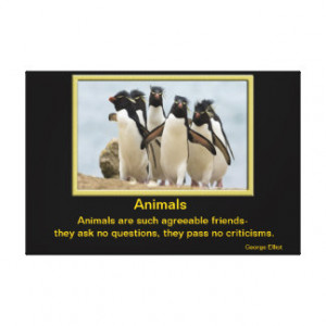 Animals inspirational quotes 5 canvas print
