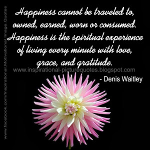 Happiness cannot be traveled to, owned, earned, worn or consumed ...