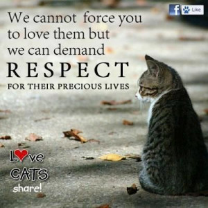 and we do http://sulia.com/channel/cats/f/7dde2222-cd75-42ec-8eba ...