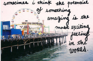 film text ocean Ferris Wheel sharpie Theme Park Pier Santa Monica Pier ...