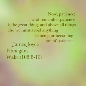 Finnegans Wake James Joyce Quotes | James Joyce - Finnegans Wake (108 ...
