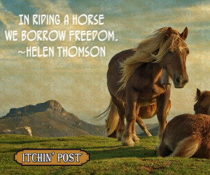 favorite horse quote.