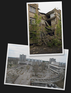 classroom and cultural centre square consumed by nature