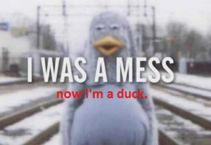 Smart Responses To Instagram Quotes