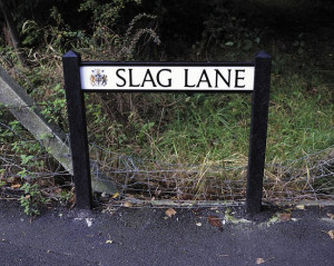 Funny adult rude places and building names (Total 13 pictures)