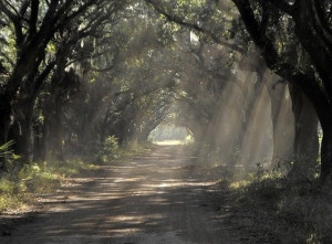 ... on the road by rainyface old dirt road by nuahs dusty road by salemcat
