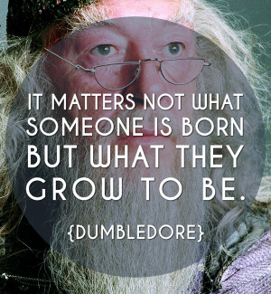 10 Inspiring Harry Potter Quotes for a Magical New Year