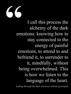 ... healing through the dark emotions the wisdom of grief fear and despair