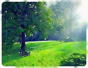 This is the same scene, after using the Waterlogue app.
